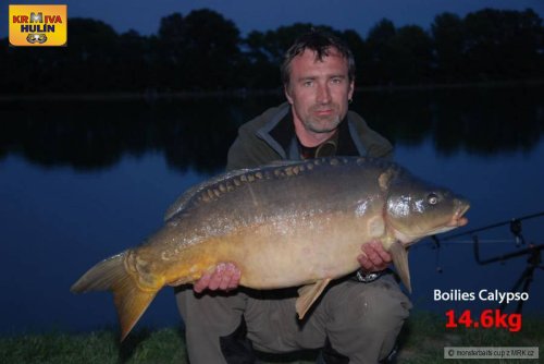 14,6kg, boilies Calypso