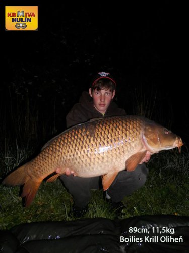 89cm, 11,5kg, boilies Krill/Oliheň, svazová voda
