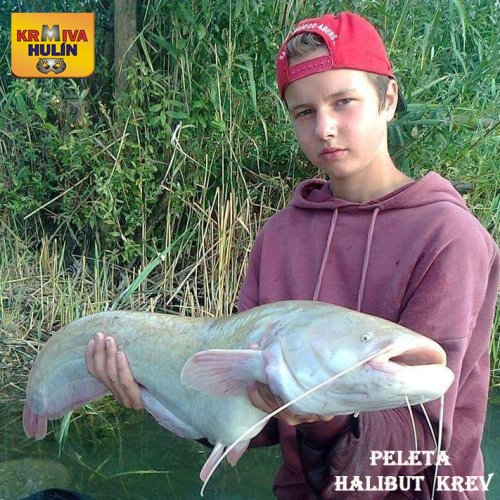 Peleta Black halibut krev