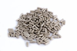 KOREJSKÝ ŽENŠEN + VIT. E - kapsle 400 mg (Krmiva Hulín, KŽK-1) | Krmiva Hulín KOREJSKÝ ŽENŠEN + VIT. E - kapsle 400 mg (Krmiva Hulín, KŽK-1) | Krmiva Hulín