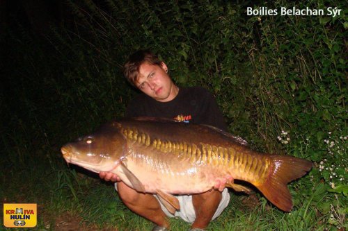 Boilies Belachan/Sýr