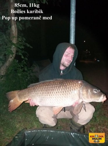 85cm, 11kg, boilies karibik, pop up pomeranč/med