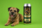 Pivo Regent - BORDER TERIÉR - 0,5 l (BOHEMIA REGENT, PRBT) | Krmiva Hulín