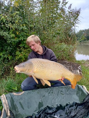 13,8kg, pop up ananas
