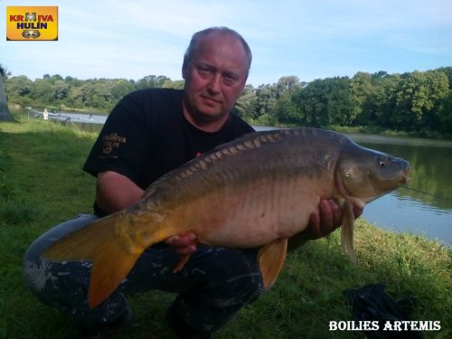 Boilies Artemis