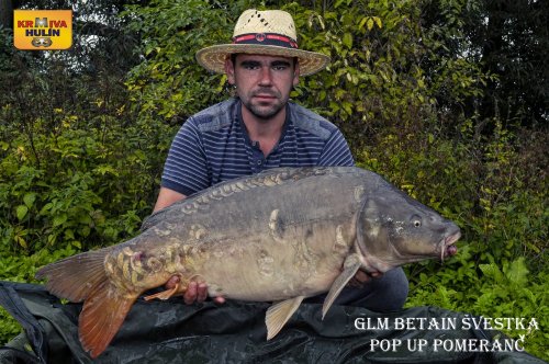 Boilies GLM se švestkou, pop up pomeranč/med