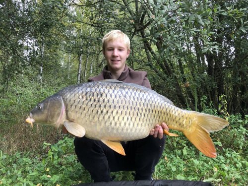 12kg, boilies Krill a oliheň