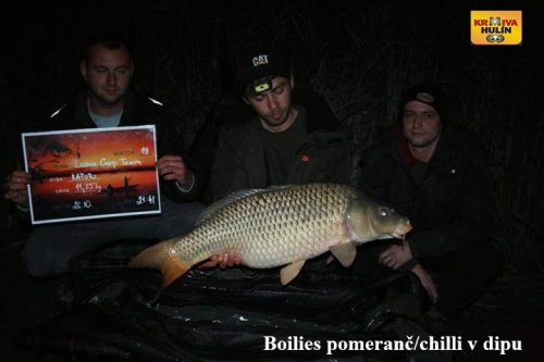 Boilies pomeranč/chilli v dipu