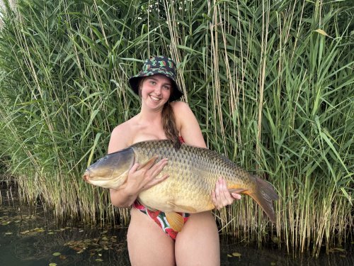 Boilies Pikantní krill