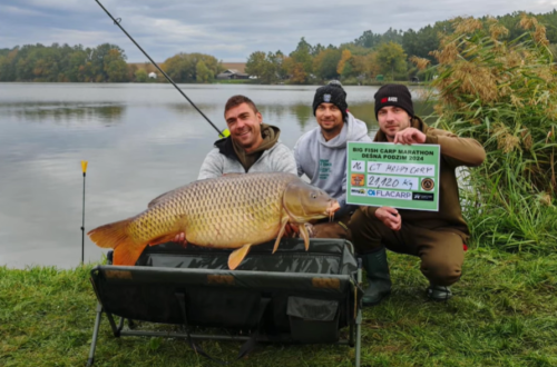 Boilies Calypso Boilies Calypso