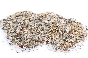 Krmivo Avest - PRO VELKÉ PAPOUŠKY 17 (Avest, KVP17-1) | Krmiva Hulín Krmivo Avest - PRO VELKÉ PAPOUŠKY 17 (Avest, KVP17-1) | Krmiva Hulín