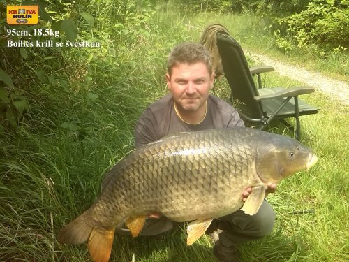 95cm, 18,5kg, boilies krill se švestkou vlastní výroby