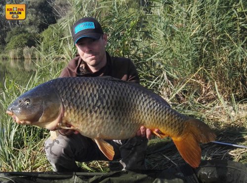 Boilies tygří ořech