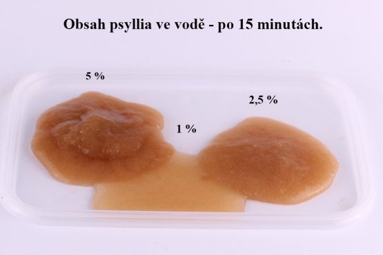 PSYLLIUM - Rozpustná vláknina pro psy - Vyberte balení: 250 g