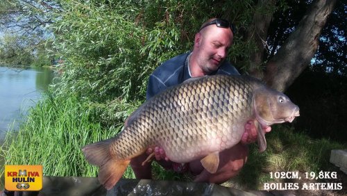 102cm, 19,8kg, boilies Artemis