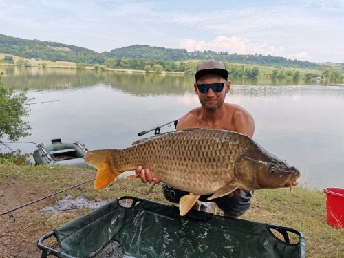 Boilies Krill/Oliheň