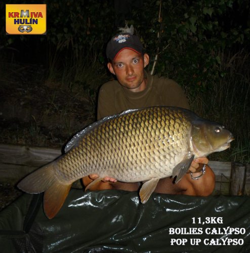 11,3kg, boilies Calypso, pop up Calypso