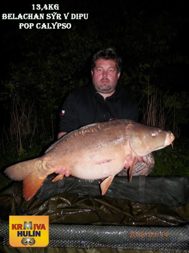 13,4kg, boilies Belachan/Sýr v dipu, pop up Calypso, svazová voda