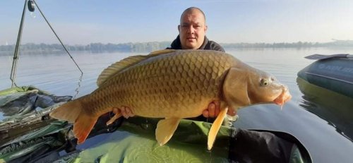 Boilies Frankfurtská klobása