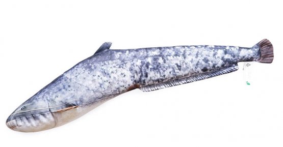 Plyšová ryba Gaby - SUMEC VELKÝ - mini 62 cm