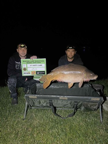 Boilies Krill a oliheň