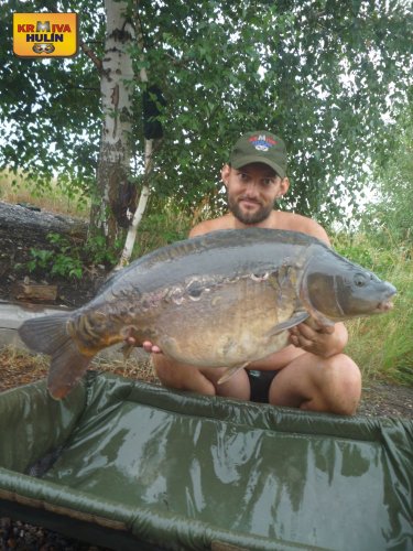 15,3kg, zig rig - pop up ananas