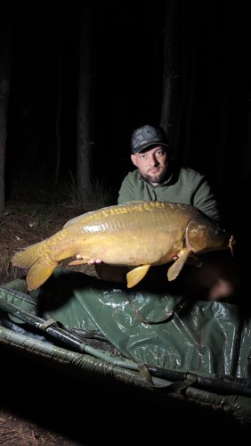 Boilies Pikantní perník