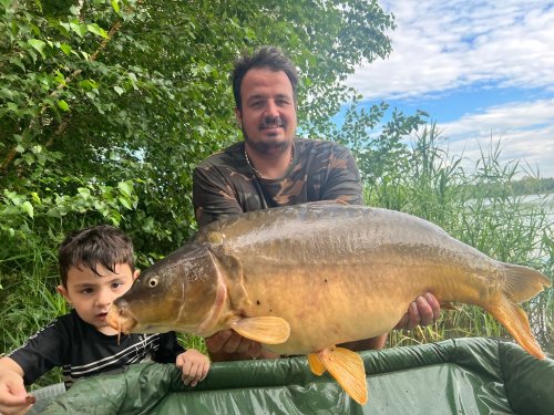 Boilies Mefisto