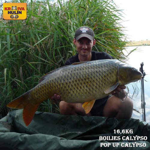 16,6kg, boilies Calypso, pop up Calypso