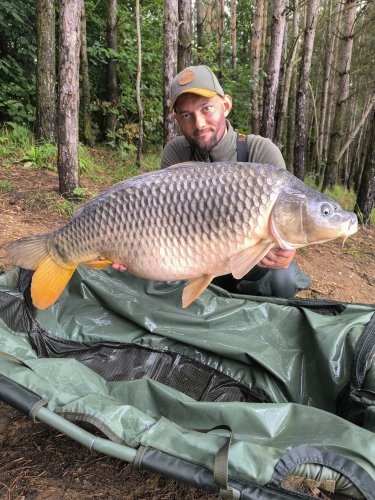 15,1kg, boilies Pikantní perník