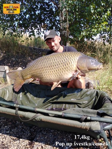 17,4kg, zig rig - pop p švestka/česnek