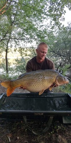 Boilies Pikantní krill