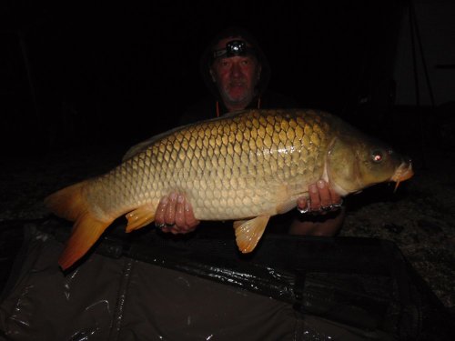 Boilies Pikantní krill