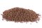 Plovoucí krmivo - GROWER 13 EF - Coppens - Ø 4,5 mm (Coppens, PKG-1) | Krmiva Hulín
