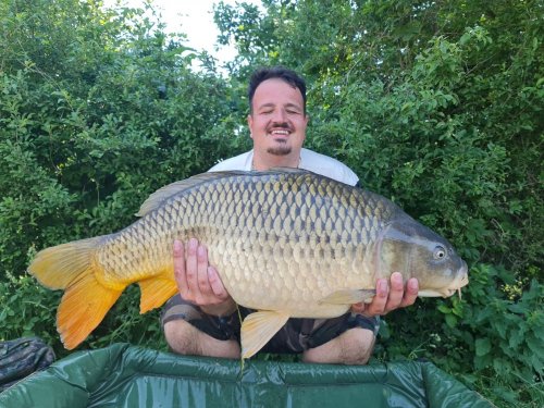 19kg, Boilies Pomeranč/Chilli