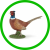 Domácí drůbež a Bažanti