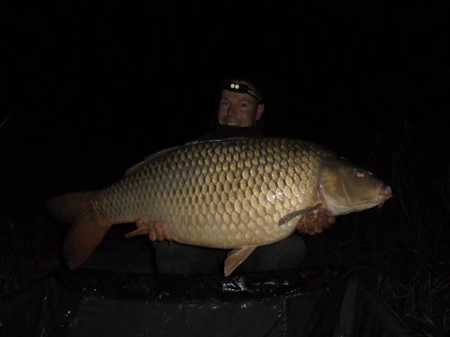 20,7kg, boilies White Scopex