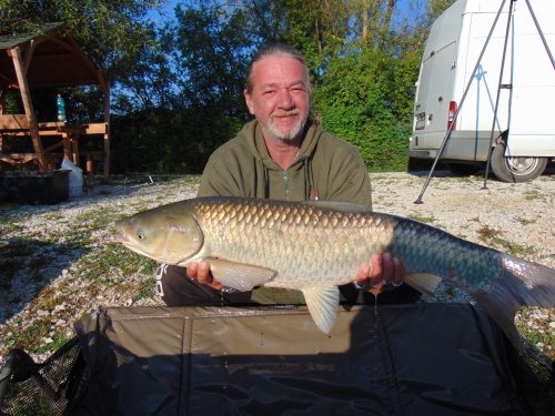 Boilies Calypso