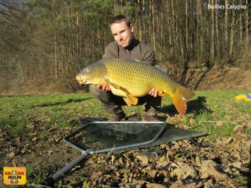 Boilies Calypso