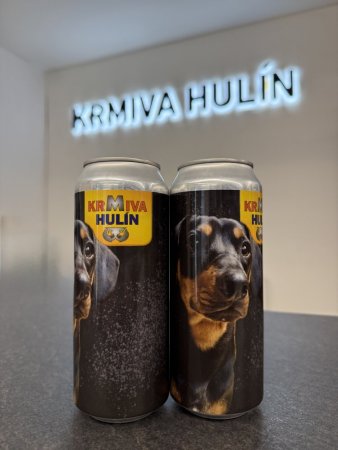 PIVO REGENT - Dárková edice KH - POLOTMAVÝ LEŽÁK 13° - 6x 0,5 L