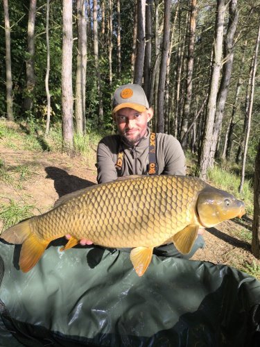 Boilies Pikantní perník