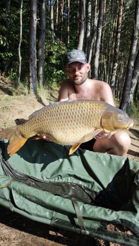 Boilies Pikantní perník