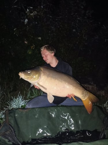 Boilies Pikantní krill