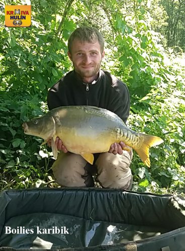 Boilies karibik