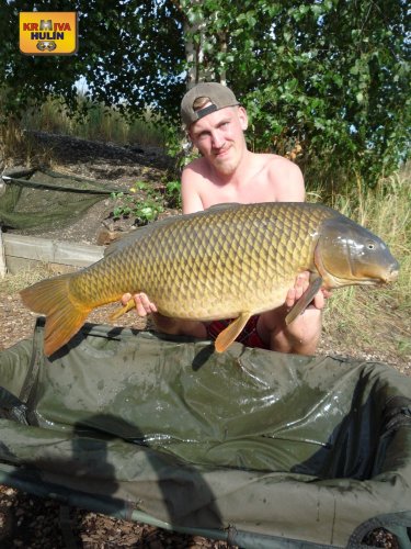 17,9kg, sumčí peleta, pop up pomeranč/med