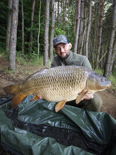 15,3kg, Boilies Pikantní perník
