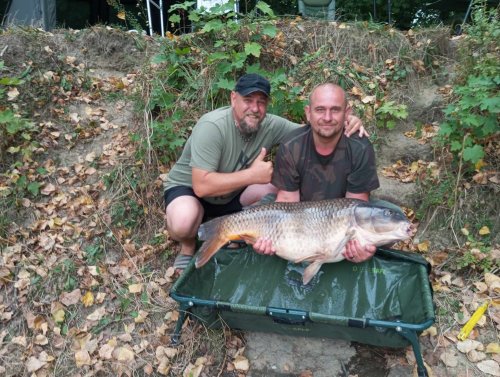 21,75 kg, boilies Krill a oliheň