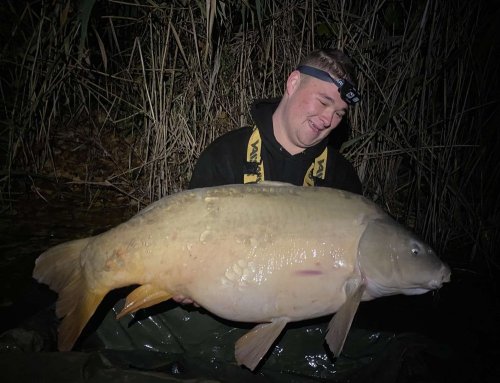 Boilies Pomeranč a chilli