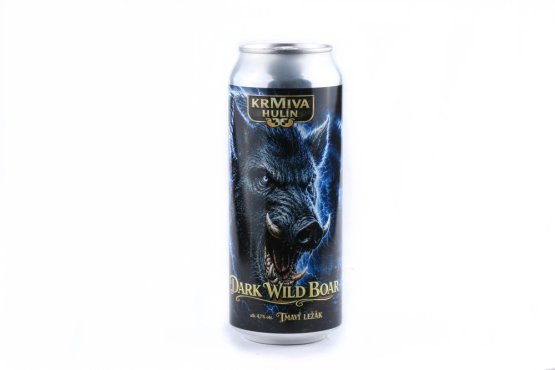 Pivo Regent - VLASTNÍ VÝBĚR 6 ks - Tmavý ležák - Edice Mystery - 6x 0,5 l
