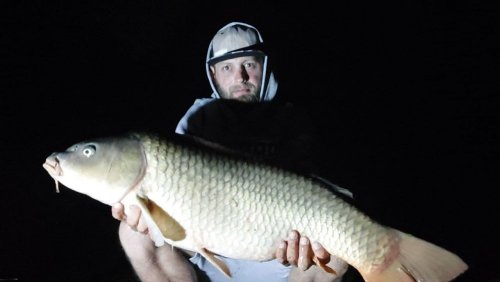13kg, boilies rychlorozpustné Krill a Oliheň
